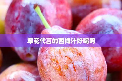 翠花代言的西梅汁好喝吗