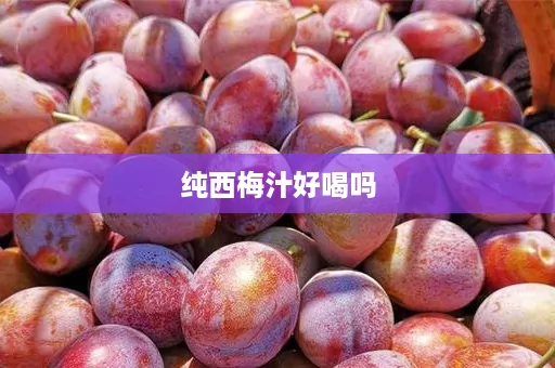 纯西梅汁好喝吗