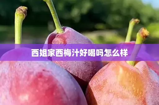 西姐家西梅汁好喝吗怎么样