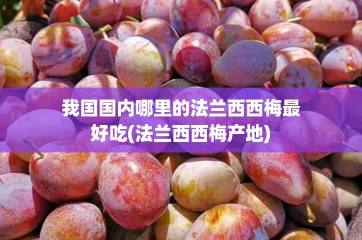 我国国内哪里的法兰西西梅最好吃(法兰西西梅产地)