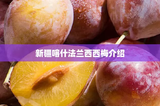﻿新疆喀什法兰西西梅介绍
