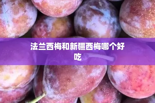 ﻿法兰西梅和新疆西梅哪个好吃