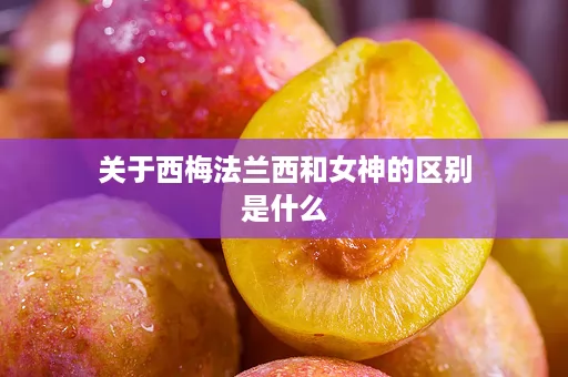 关于西梅法兰西和女神的区别是什么