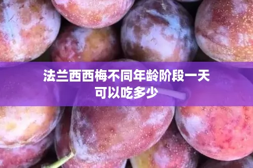 ﻿法兰西西梅不同年龄阶段一天可以吃多少