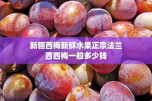 新疆西梅新鲜水果正宗法兰西西梅一般多少钱