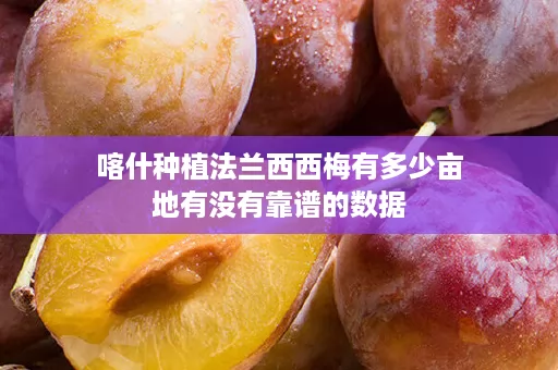 喀什种植法兰西西梅有多少亩地有没有靠谱的数据
