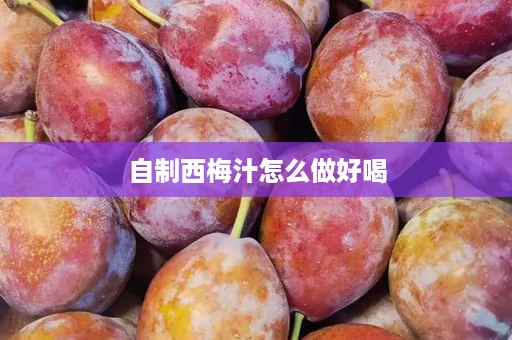 自制西梅汁怎么做好喝