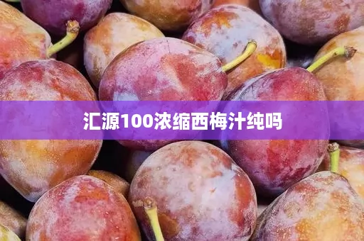 汇源100浓缩西梅汁纯吗