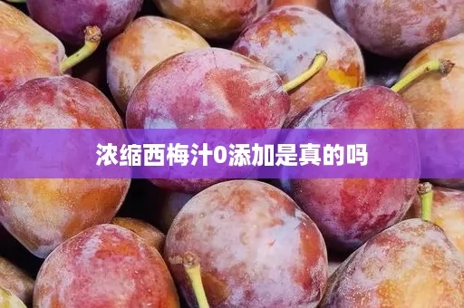 浓缩西梅汁0添加是真的吗