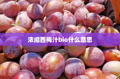 浓缩西梅汁bio什么意思