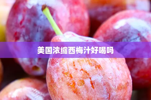 美国浓缩西梅汁好喝吗
