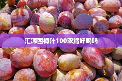 汇源西梅汁100浓缩好喝吗