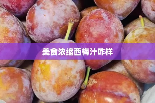 美食浓缩西梅汁咋样