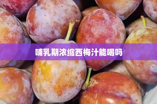 哺乳期浓缩西梅汁能喝吗