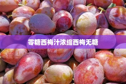 零糖西梅汁浓缩西梅无糖