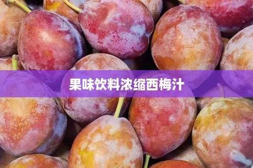 果味饮料浓缩西梅汁