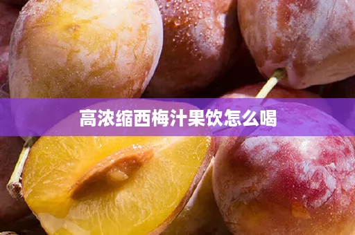 高浓缩西梅汁果饮怎么喝