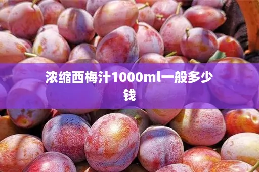 浓缩西梅汁1000ml一般多少钱