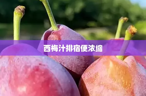 西梅汁排宿便浓缩