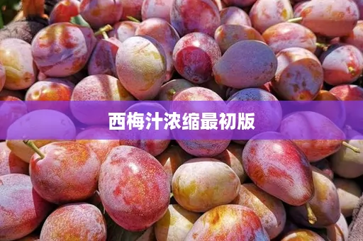 西梅汁浓缩最初版