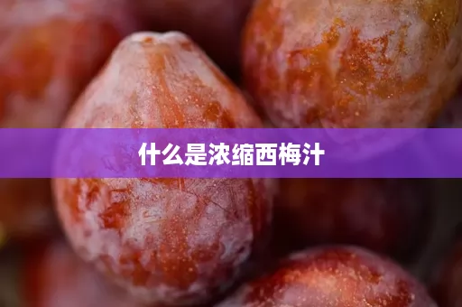 什么是浓缩西梅汁