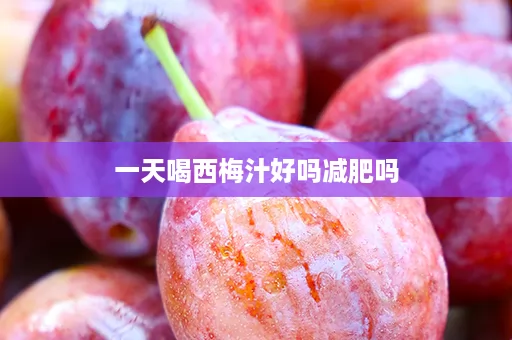 一天喝西梅汁好吗减肥吗