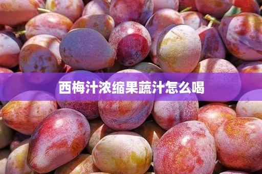 西梅汁浓缩果蔬汁怎么喝