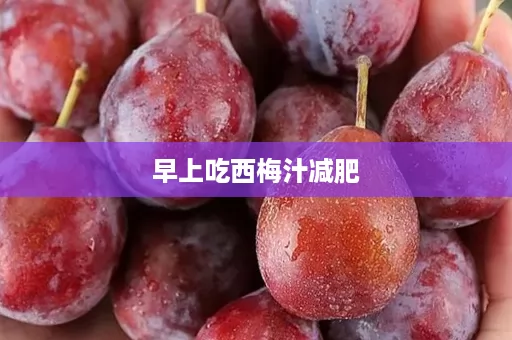 早上吃西梅汁减肥