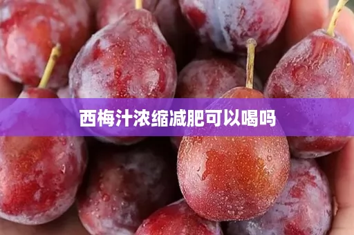 西梅汁浓缩减肥可以喝吗