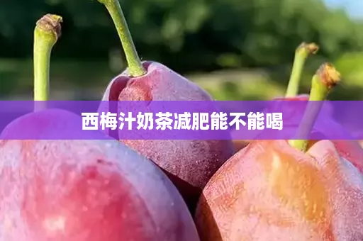 西梅汁奶茶减肥能不能喝