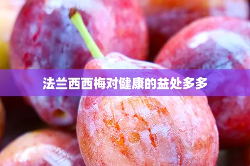 ﻿法兰西西梅对健康的益处多多