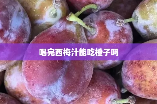 喝完西梅汁能吃橙子吗