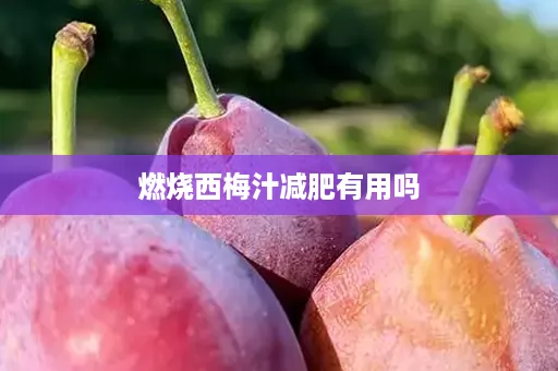 燃烧西梅汁减肥有用吗