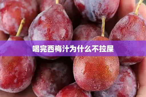 喝完西梅汁为什么不拉屎