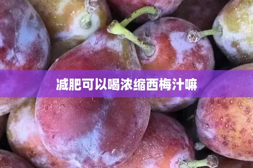 减肥期间可以喝浓缩西梅汁吗——可以的吧？