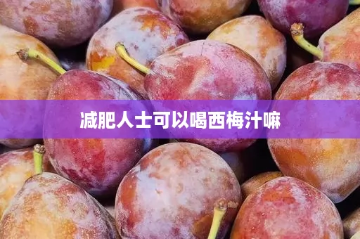 减肥人士可以喝西梅汁嘛