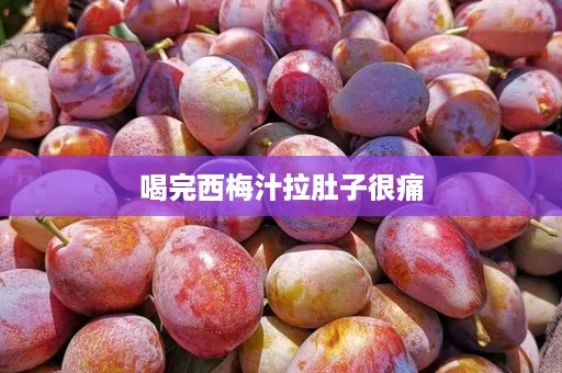 喝完西梅汁拉肚子很痛