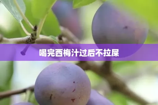 喝完西梅汁过后不拉屎