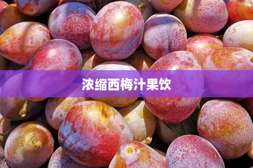 浓缩西梅汁果饮