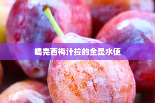 喝完西梅汁拉的全是水便