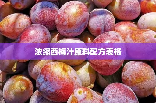 浓缩西梅汁原料配方表格