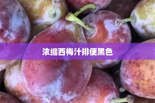 浓缩西梅汁排便黑色