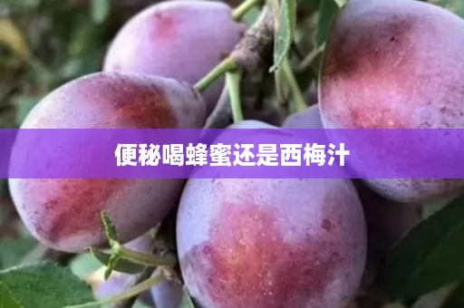 便秘喝蜂蜜还是西梅汁