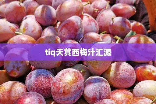 tiq天萁西梅汁汇源