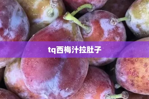 tq西梅汁拉肚子