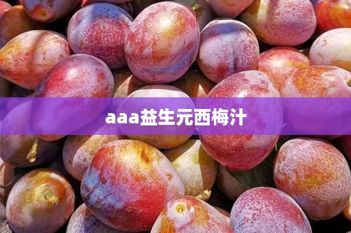 aaa益生元西梅汁