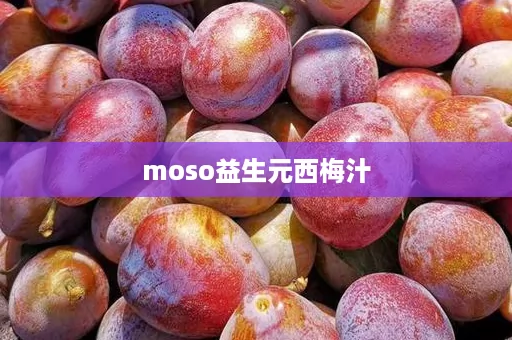 moso益生元西梅汁