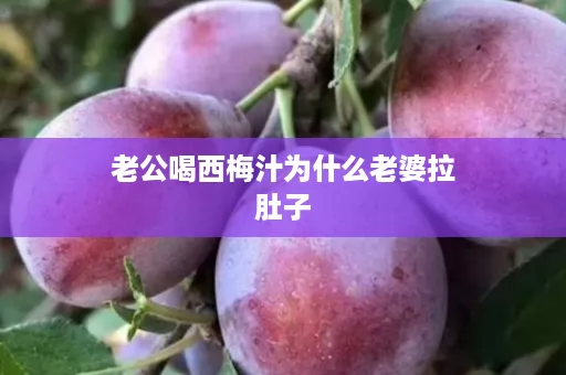 老公喝西梅汁为什么老婆拉肚子