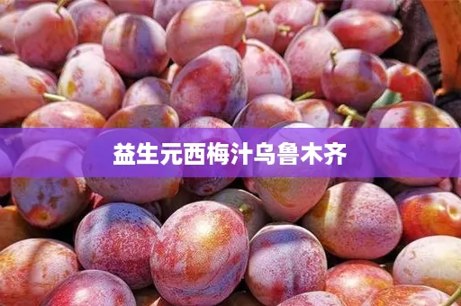 益生元西梅汁乌鲁木齐