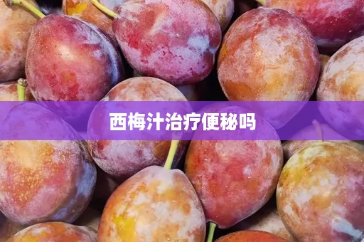 西梅汁治疗便秘吗